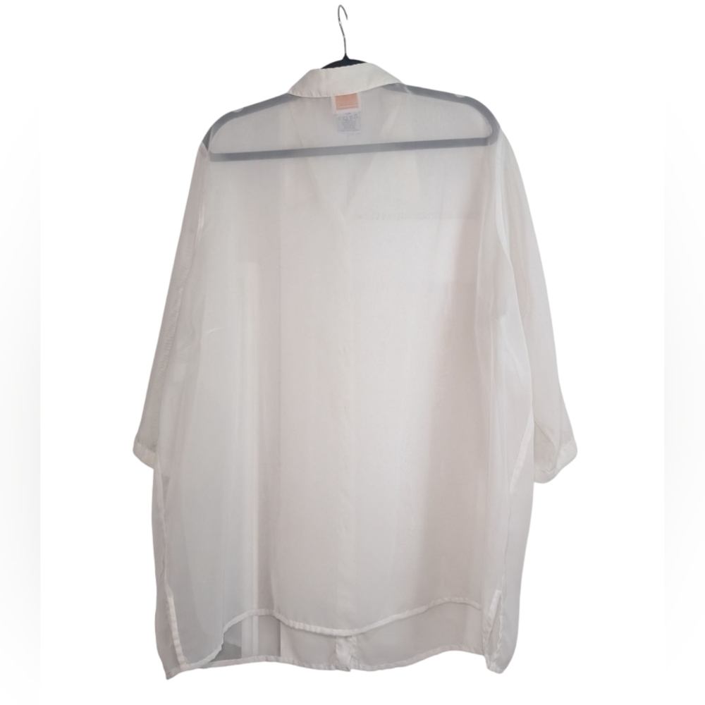 Vintage Plus Size Sheer Shirt - Picture 3 of 4